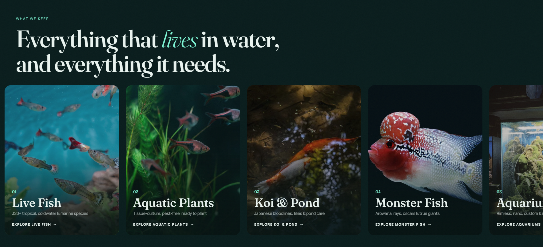 What we keep — seven categories, from live fish to equipment