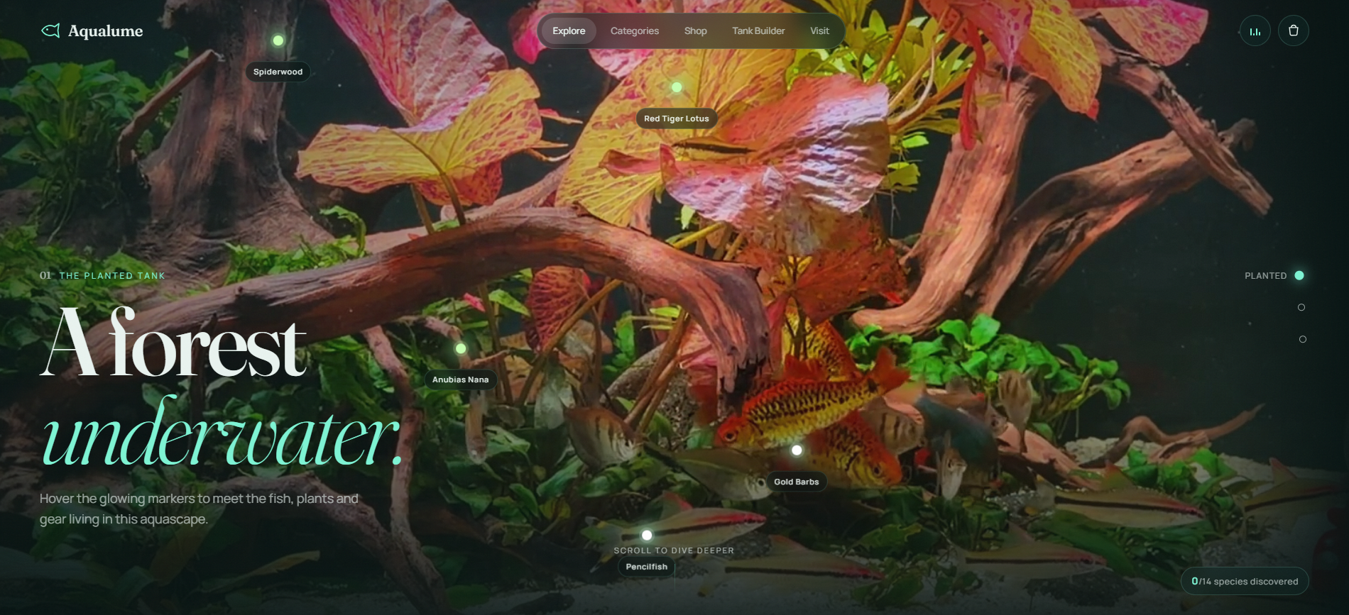 Aqualume — The planted tank — “A forest underwater”, with glowing markers on every fish and plant